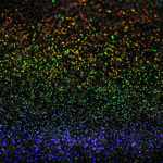 レインボーラメフレーク ラメ粉 ラメパウダー 虹 ロング ロッド