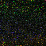 ホログラムラメフレーク 0.2mm レインボー 虹